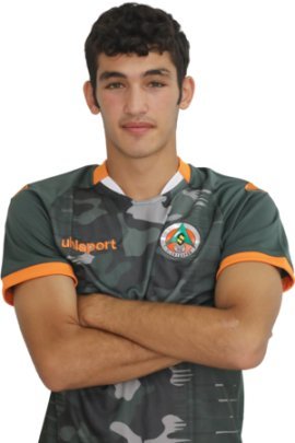 İsmail Zehir