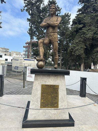 Mete Adanır