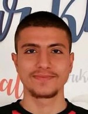 Ekrem Al