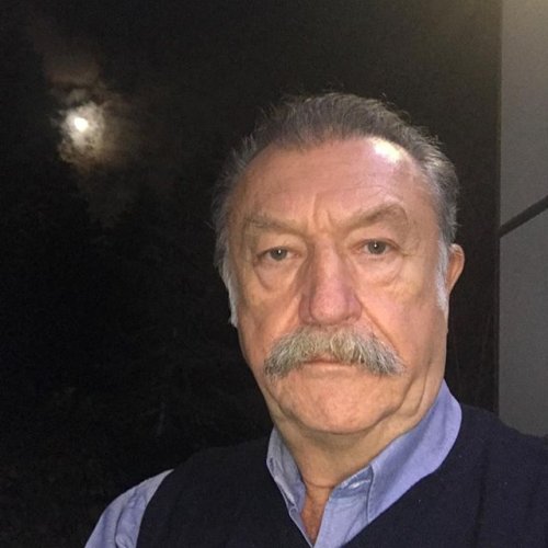 Tamer Levent