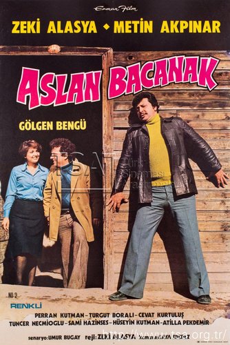 Metin Aslan