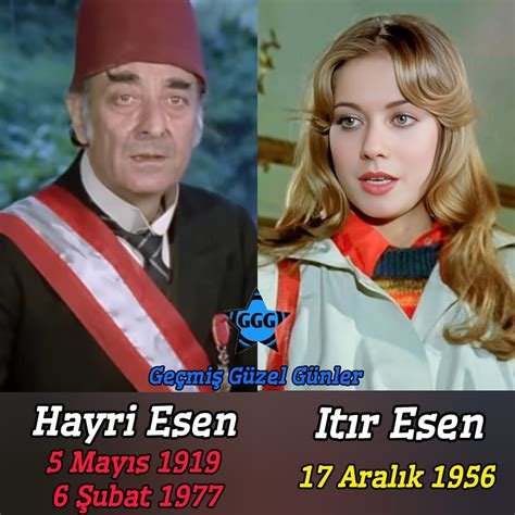 Hayri Arsebük