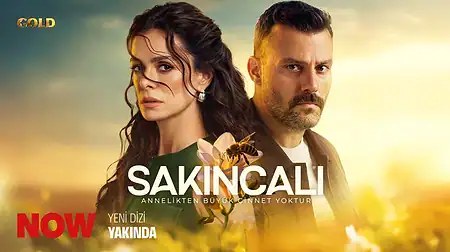Ayışığı Neredesin