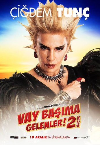 Vay Başıma Gelenler 2,5