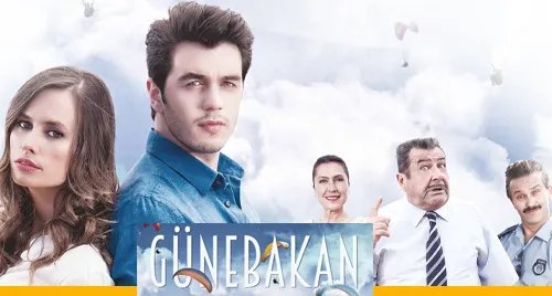 Tournesol (Günebakan)