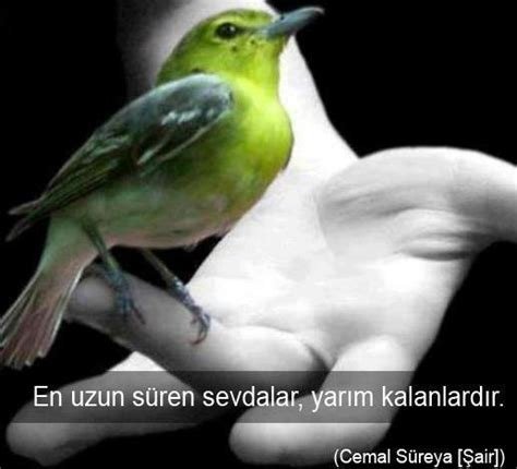 Someone in the Dark – 1998 (Karanlıkta Biri Var)