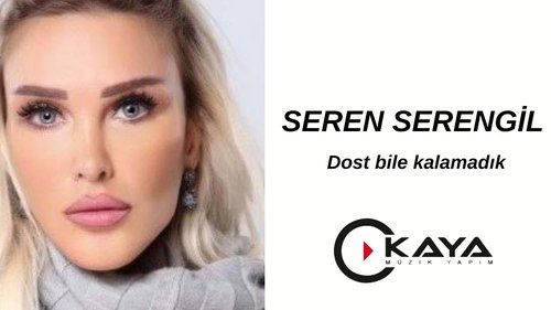 Ni siquiera pudimos seguir siendo amigos (Dost Bile Kalamadık)