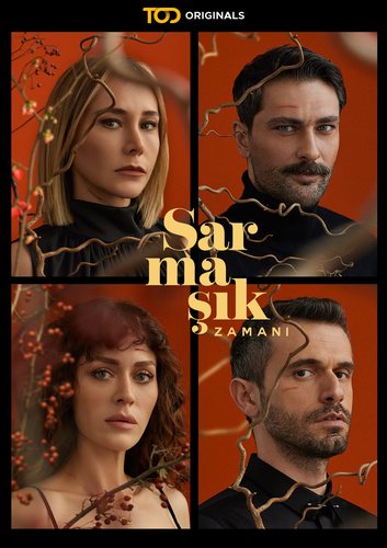 Türk Usulü