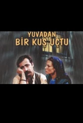A Bird Flew from the Nest (Yuvadan Bir Kuş Uçtu)