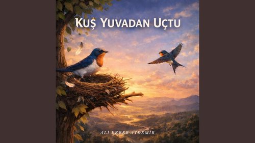 A Bird Flew from the Nest (Yuvadan Bir Kuş Uçtu)