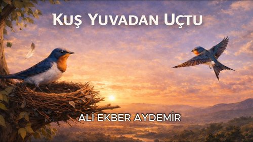 A Bird Flew from the Nest (Yuvadan Bir Kuş Uçtu)