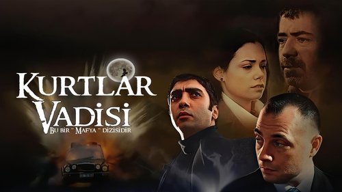 Kurtlar Vadisi Ziya