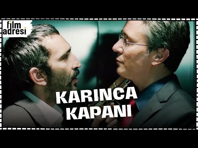Ameisenfalle (Karınca Kapanı)