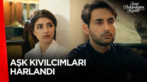 Vientos de amor (Sevda Rüzgarları)