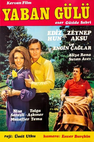 الوردة البرية (Yaban Gülü)