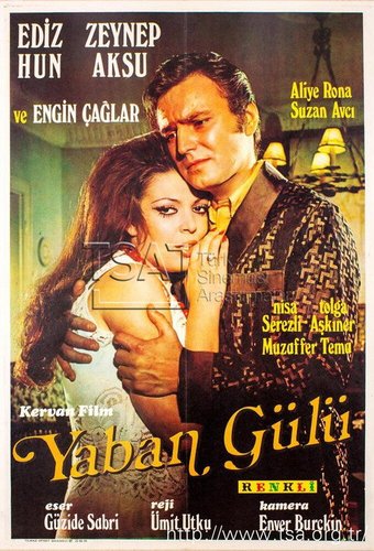 الوردة البرية (Yaban Gülü)