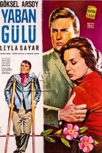 Yaban Gülü