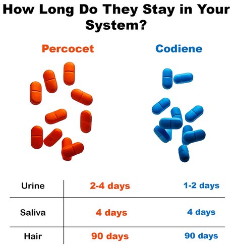 Codine