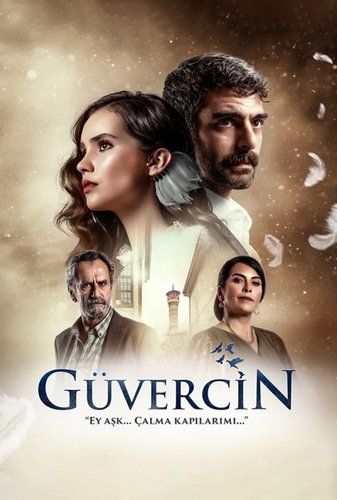 Güvercin