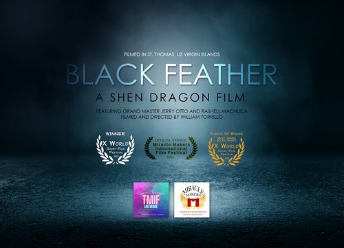 Black Feathers