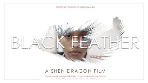 Black Feathers