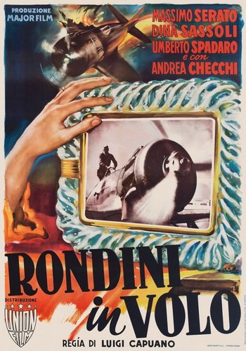 Rondini in volo