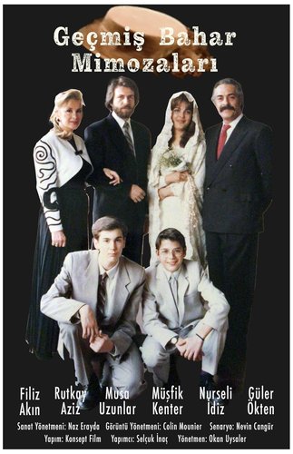 Geçmiş Bahar Mimozaları