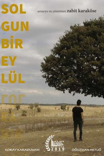 A Pale Yellow Rose (Solgun Bir Sarı Gül)