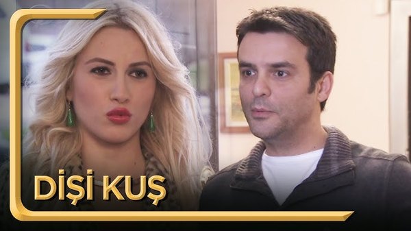 Dişi Kuş