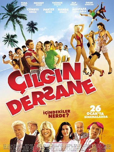 Çılgın Dersane
