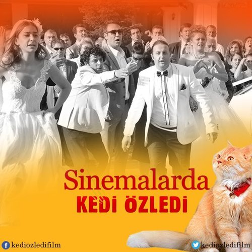 The Cat Misses (Kedi Özledi)