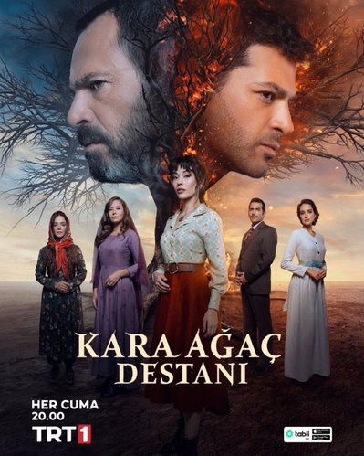 Saksıdaki Ağaç