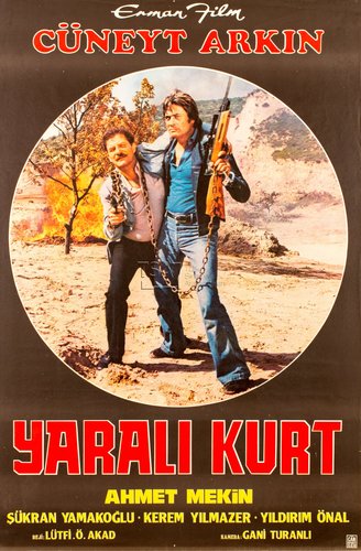 Wounded Wolf (Yaralı Kurt)