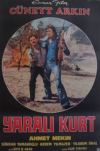Wounded Wolf (Yaralı Kurt)