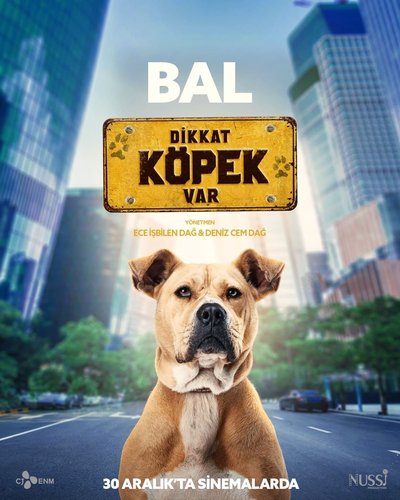 El perro – 2005 Talat (Köpek – 2005 Talat)