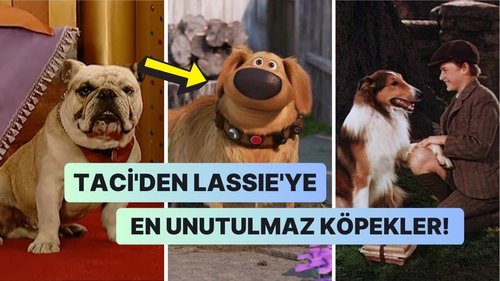 El perro – 2005 Talat (Köpek – 2005 Talat)