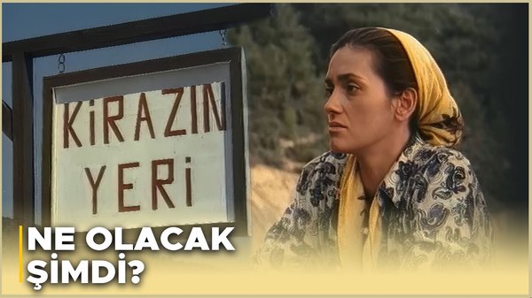 Kiraz Çiçek Açıyor