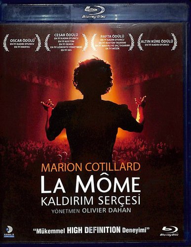 Gorrión de la acera (Kaldırım Serçesi)