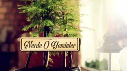 Nerde O Yeminler
