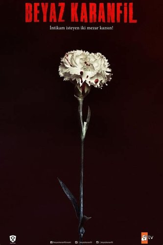 œillet blanc (Beyaz Karanfil)