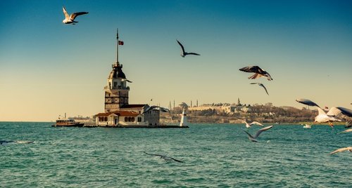 Martılar ve İstanbul