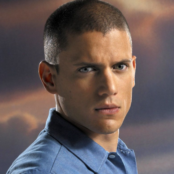 Wentworth Miller Kimdir ?